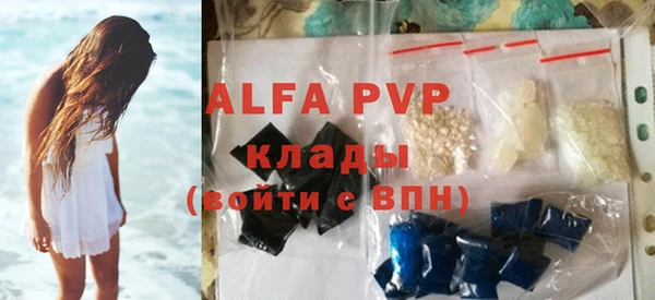 твердый Новодвинск