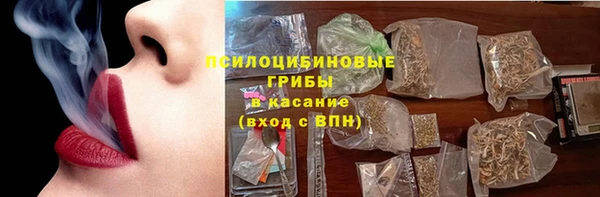 твердый Новодвинск