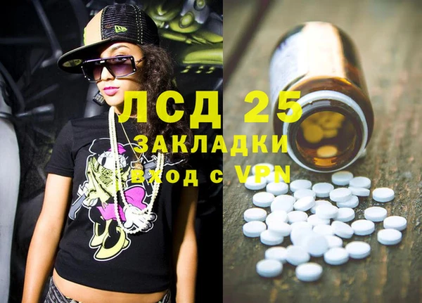 твердый Новодвинск