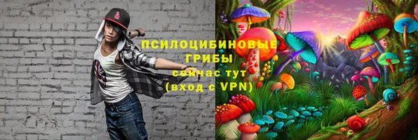 ГАЛЛЮЦИНОГЕННЫЕ ГРИБЫ Нязепетровск